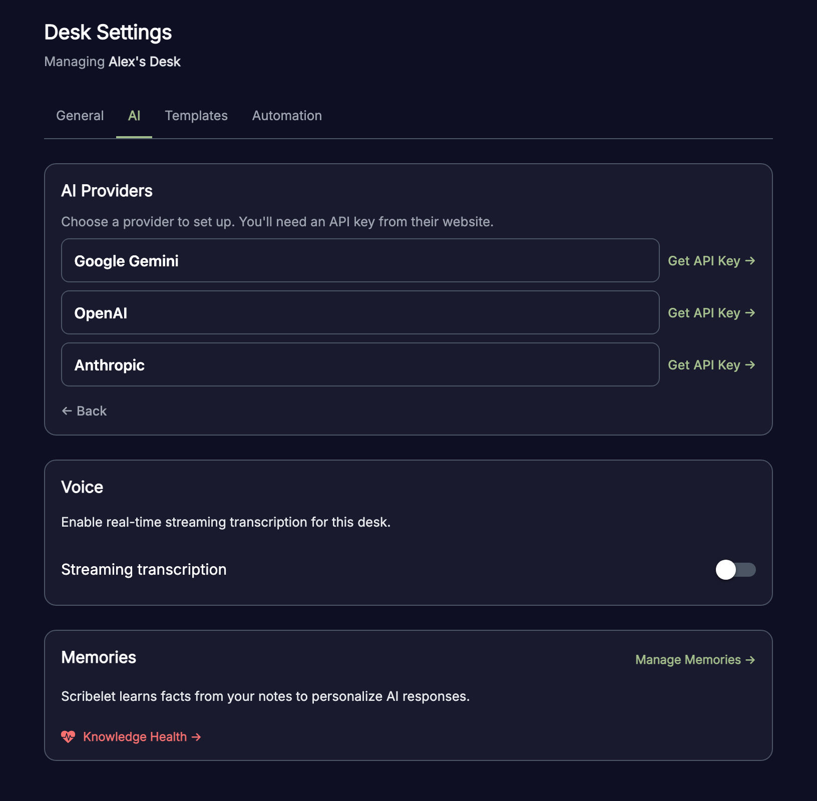 Provider picker showing Google Gemini, OpenAI, and Anthropic with Get API Key links